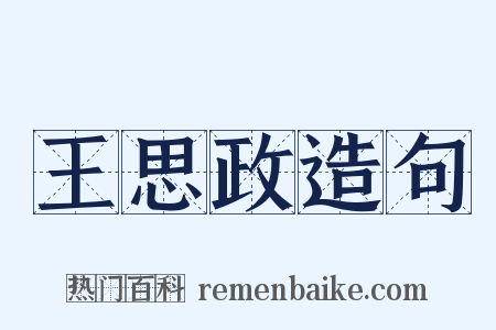王思政造句是什么意思的图片